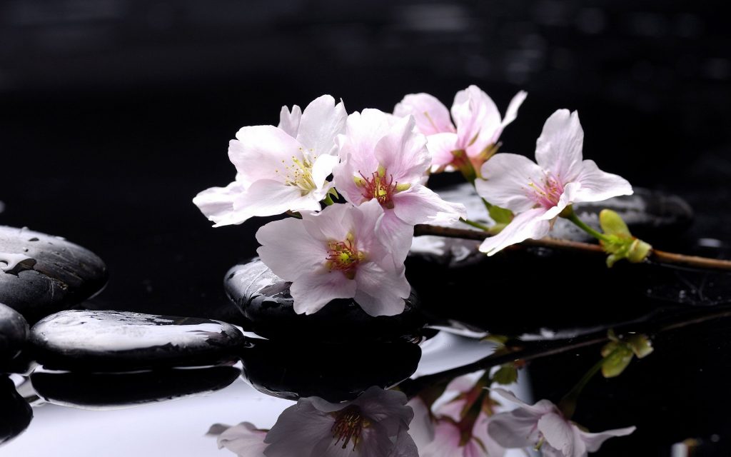 Yeu doi yeu nguoi (26)
