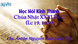 Học hỏi Phúc Âm Chúa Nhật 31 thường niên Năm C Học hỏi Phúc Âm Chúa Nhật 31 thường niên Năm C