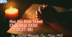 Học hỏi Phúc Âm Chúa Nhật 32 thường niên Năm C Học hỏi Phúc Âm Chúa Nhật 32 thường niên Năm C