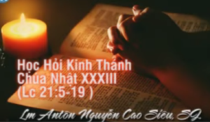 Học hỏi Phúc Âm Chúa Nhật 33 thường niên Năm C Học hỏi Phúc Âm Chúa Nhật 33 thường niên Năm C