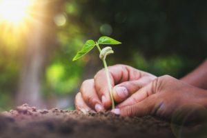 interested post image interested post image