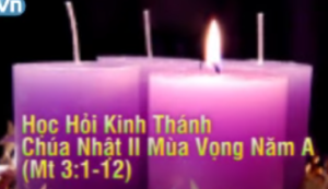 Học hỏi Phúc Âm Chúa Nhật II Mùa Vọng Năm A Học hỏi Phúc Âm Chúa Nhật II Mùa Vọng Năm A