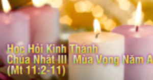 Học hỏi Phúc Âm Chúa Nhật III Mùa Vọng Năm A Học hỏi Phúc Âm Chúa Nhật III Mùa Vọng Năm A