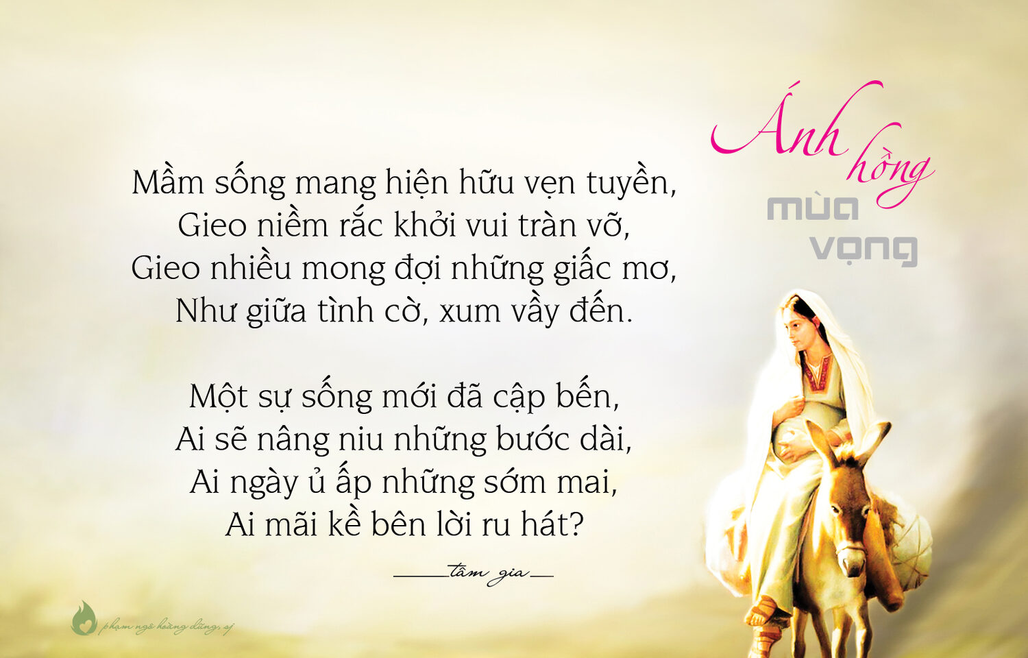 ÁNH HỒNG MÙA VỌNG ÁNH HỒNG MÙA VỌNG