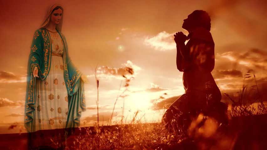 Tấm thân và tấm lòng của Mẹ trên đường loan báo Tin Mừng Tấm thân và tấm lòng của Mẹ trên đường loan báo Tin Mừng