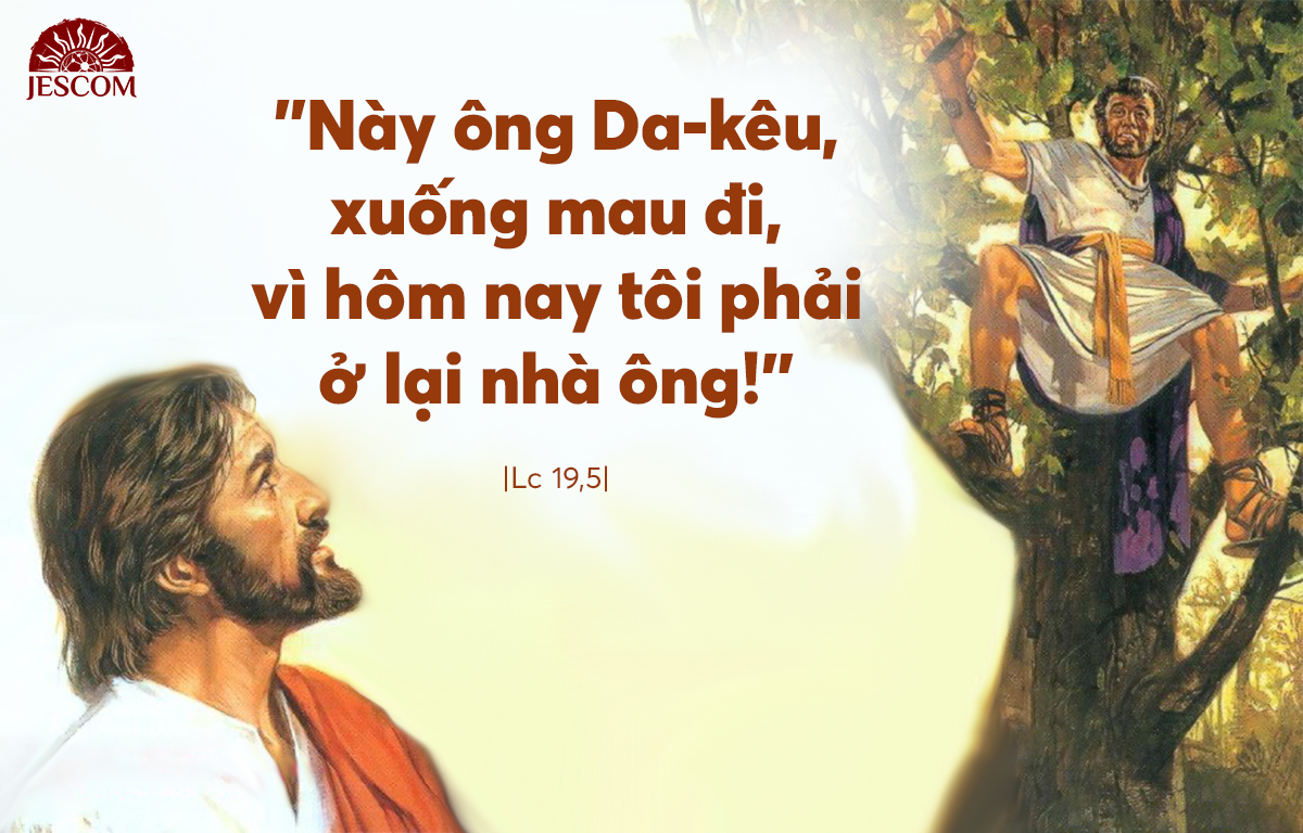 Tìm và Cứu (Chúa nhật 31 thường niên - Năm C) Tìm và Cứu (Chúa nhật 31 thường niên - Năm C)