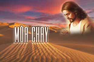 Bản Tin "Tạo Tác Mến Yêu" số 62 Bản Tin "Tạo Tác Mến Yêu" số 62