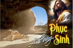 interested post image interested post image