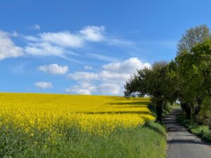 Chúa có là Sự Sống, là Con Đường và là Sự Thật của đời bạn không ? Chúa có là Sự Sống, là Con Đường và là Sự Thật của đời bạn không ?