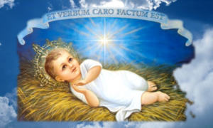 Thụ Tạo Mới καινὴ κτίσις (2Cr 5,17) Thụ Tạo Mới καινὴ κτίσις (2Cr 5,17)