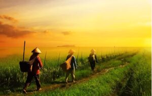 Đi ra biên cương mới Đi ra biên cương mới