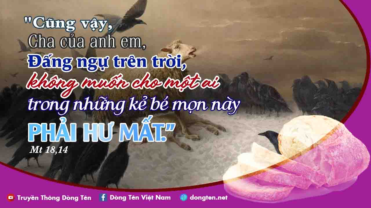 Manna: Không phải hư mất (Thứ Ba Tuần 2 Mùa Vọng - Mt 18,12-14) Manna: Không phải hư mất (Thứ Ba Tuần 2 Mùa Vọng - Mt 18,12-14)