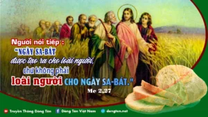 Manna: Con Người làm chủ ngày sabát (Thứ Ba Tuần 2 Thường niên - Mc 2,23-28) Manna: Con Người làm chủ ngày sabát (Thứ Ba Tuần 2 Thường niên - Mc 2,23-28)