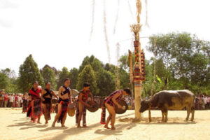 Bài tình ca của người được sai đi Bài tình ca của người được sai đi