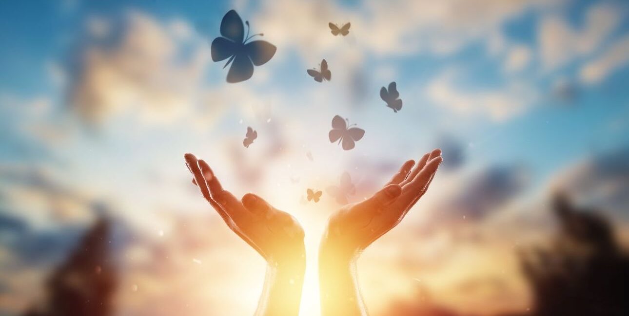 Sức mạnh huyền siêu của thứ tha Sức mạnh huyền siêu của thứ tha