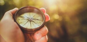 interested post image interested post image