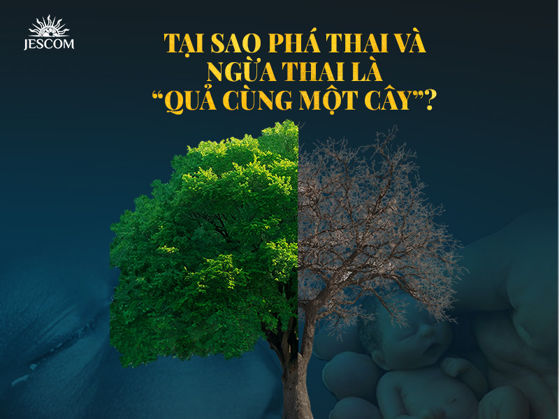 Tại sao phá thai và ngừa thai là “quả cùng một cây”? Tại sao phá thai và ngừa thai là “quả cùng một cây”?