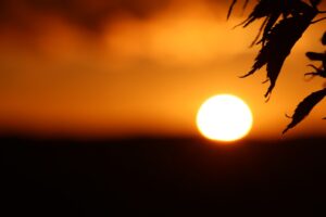 interested post image interested post image