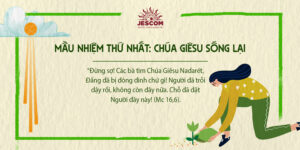 interested post image interested post image