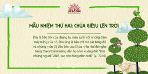 interested post image interested post image