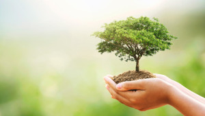 Ơn Gọi Dòng Tên – Vài Nét Quan Trọng Ơn Gọi Dòng Tên – Vài Nét Quan Trọng