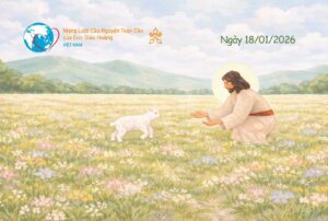 interested post image interested post image
