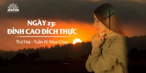 Ngày Thứ Hai Mươi Ba: Đỉnh Cao Đích Thực Ngày Thứ Hai Mươi Ba: Đỉnh Cao Đích Thực