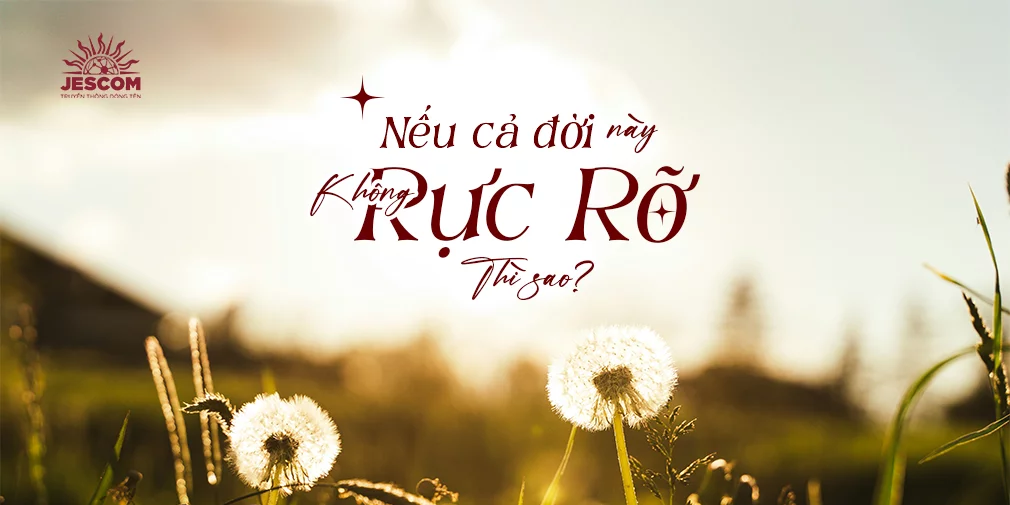 Nếu cả đời này không rực rỡ thì sao? Nếu cả đời này không rực rỡ thì sao?