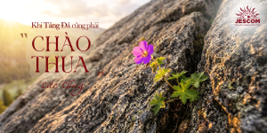 interested post image interested post image