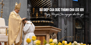 Sứ điệp của Đức Thánh Cha Lêô XIV nhân Ngày Thế giới Cầu nguyện cho Ơn gọi Sứ điệp của Đức Thánh Cha Lêô XIV nhân Ngày Thế giới Cầu nguyện cho Ơn gọi