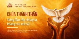 interested post image interested post image