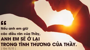 Manna: Ở lại trong tình thương của Thầy (Thứ Năm Tuần 5 Phục Sinh - Ga 15,9-11) Manna: Ở lại trong tình thương của Thầy (Thứ Năm Tuần 5 Phục Sinh - Ga 15,9-11)