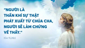 Manna: Người sẽ làm chứng về Thầy (Thứ Hai Tuần 6 Phục Sinh - Ga 15,26-16,4a) Manna: Người sẽ làm chứng về Thầy (Thứ Hai Tuần 6 Phục Sinh - Ga 15,26-16,4a)