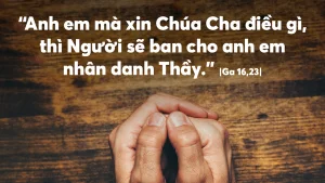 Manna: Chúa Cha yêu mến anh em (Thứ Bảy Tuần 6 Phục sinh, Ga 16, 23-28) Manna: Chúa Cha yêu mến anh em (Thứ Bảy Tuần 6 Phục sinh, Ga 16, 23-28)