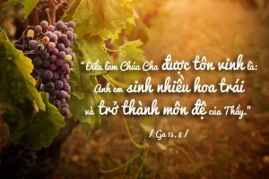 Manna: Sinh nhiều hoa trái và trở thành môn đệ (Thứ Tư Tuần 5 Phục Sinh - Ga 15,1-8) Manna: Sinh nhiều hoa trái và trở thành môn đệ (Thứ Tư Tuần 5 Phục Sinh - Ga 15,1-8)
