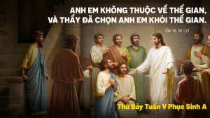 Manna: Không thuộc về thế gian (Thứ Bảy Tuần 5 Phục Sinh - Ga 15,18-21) Manna: Không thuộc về thế gian (Thứ Bảy Tuần 5 Phục Sinh - Ga 15,18-21)