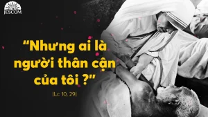 Manna: Bỏ mọi sự vì Thầy (Thứ Ba Tuần 8 Thường niên - Mc 10,28-31) Manna: Bỏ mọi sự vì Thầy (Thứ Ba Tuần 8 Thường niên - Mc 10,28-31)
