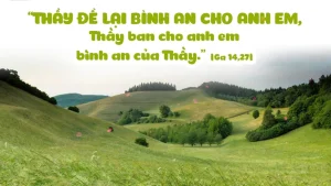 Manna: Thầy để lại bình an cho anh em (Thứ Ba Tuần 5 Phục Sinh - Ga 14, 27-31a) Manna: Thầy để lại bình an cho anh em (Thứ Ba Tuần 5 Phục Sinh - Ga 14, 27-31a)