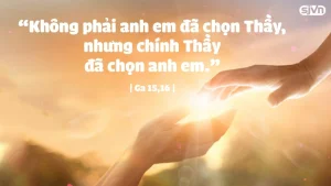 Manna: Chính Thầy đã chọn anh em (Thứ Sáu Tuần 5 Phục Sinh - Ga 15,12-17) Manna: Chính Thầy đã chọn anh em (Thứ Sáu Tuần 5 Phục Sinh - Ga 15,12-17)