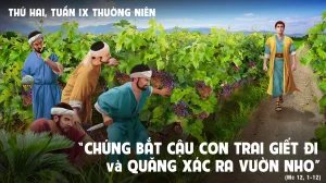 Manna: Tảng đá góc (Thứ Hai Tuần 9 Thường niên, Mc 12, 1-12) Manna: Tảng đá góc (Thứ Hai Tuần 9 Thường niên, Mc 12, 1-12)