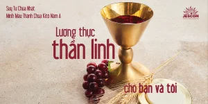 Lương thực thần linh cho bạn và tôi | Suy tư Tin Mừng CN Lễ Mình và Máu Thánh Chúa - Năm A Lương thực thần linh cho bạn và tôi | Suy tư Tin Mừng CN Lễ Mình và Máu Thánh Chúa - Năm A