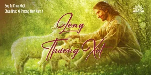Lòng Thương Xót | Suy tư Tin Mừng CN XI Thường Niên - Năm A Lòng Thương Xót | Suy tư Tin Mừng CN XI Thường Niên - Năm A
