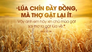 interested post image interested post image