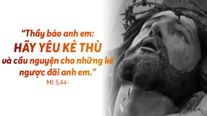interested post image interested post image