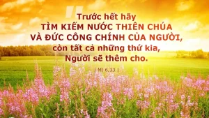 interested post image interested post image