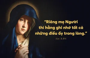 interested post image interested post image