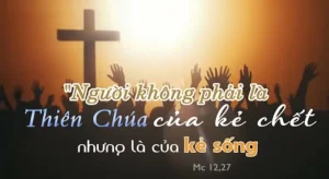Manna: Thiên Chúa của kẻ sống (Thứ Tư Tuần 9 Thường niên, Mc 12, 18-27 ) Manna: Thiên Chúa của kẻ sống (Thứ Tư Tuần 9 Thường niên, Mc 12, 18-27 )