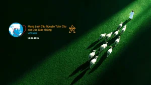 Tông Đồ Cầu Nguyện, 14-06-2026 Tông Đồ Cầu Nguyện, 14-06-2026