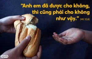 Manna: Chúc bình an (Thứ Năm Tuần 14 thường niên - Mt 10,7-15) Manna: Chúc bình an (Thứ Năm Tuần 14 thường niên - Mt 10,7-15)