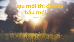 Manna: Giữ được cả hai (Thứ Bảy Tuần 13 Thường niên - Mt 9,14-17) Manna: Giữ được cả hai (Thứ Bảy Tuần 13 Thường niên - Mt 9,14-17)